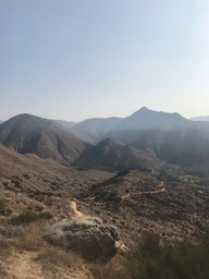IMG_3243