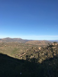 IMG_3525