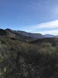 IMG_3527