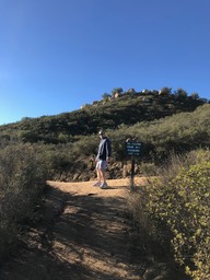 IMG_3529