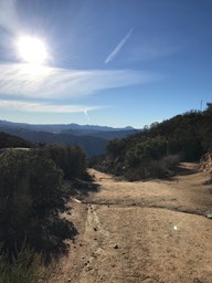 IMG_3535