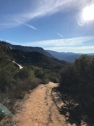 IMG_3541
