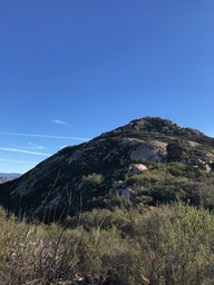 IMG_3543