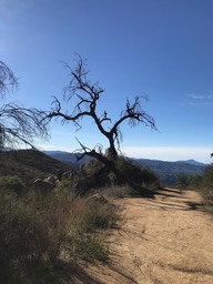 IMG_3544