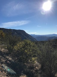 IMG_3545