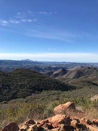 IMG_3546