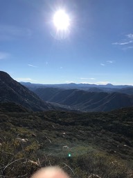 IMG_3548.jpeg