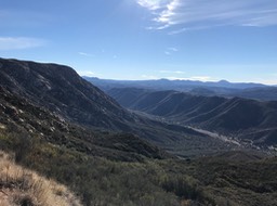 IMG_3550.jpeg