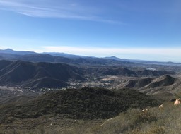 IMG_3551.jpeg