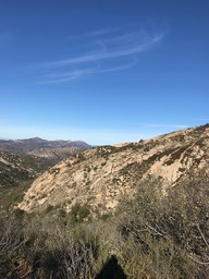 IMG_3552.jpeg