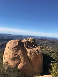IMG_3553.jpeg