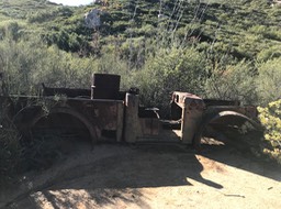 IMG_3558.jpeg
