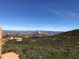 IMG_3559.jpeg