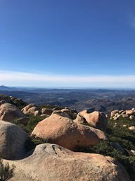 IMG_3561.jpeg