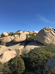 IMG_3562.jpeg