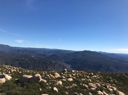 IMG_3565