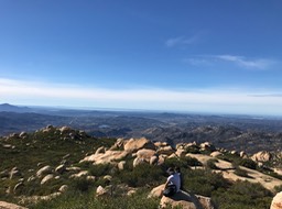 IMG_3568