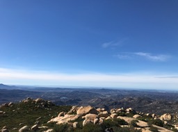 IMG_3569