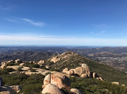 IMG_3570