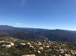 IMG_3572