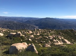 IMG_3573