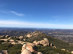 IMG_3575