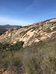 IMG_3584