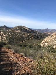 IMG_3585.jpeg