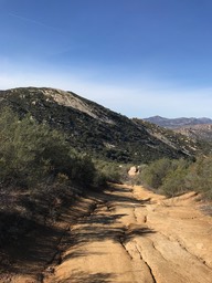IMG_3586.jpeg