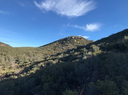 IMG_3767.jpeg
